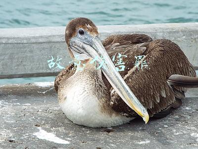 故意伤害罪