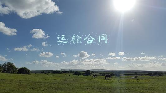 运输合同模板范本(车队运输合同)