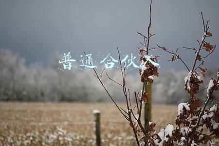 普通合伙人