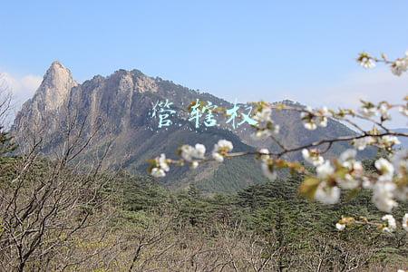 管辖权异议申请书范文(法律文书写作方法(29)民事诉讼管辖异议申请书)