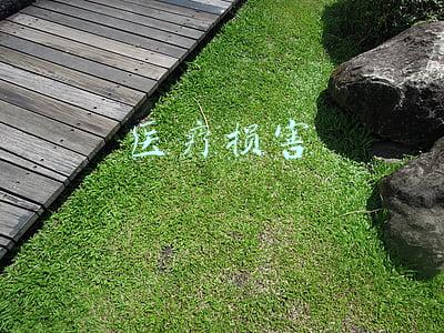 医疗损害