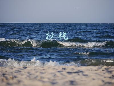 抄税