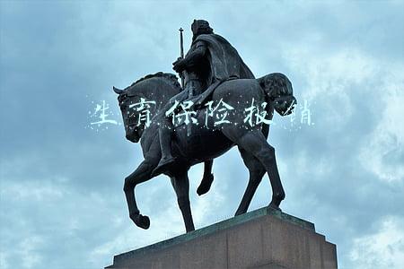 生育保险报销