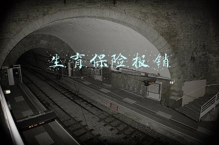 生育保险报销