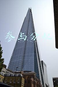参与分配