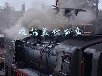 收据盖什么章