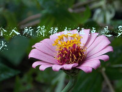 河北省个人所得税起征点是多少(河北人注意：10月1日起个税起征点调整为每月5000元！)