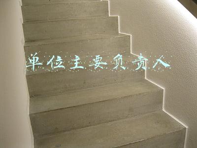 单位主要负责人
