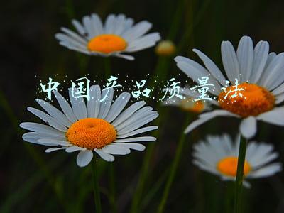 中国产品质量法第41条第42条的区别?(假药、劣药如何认定 国家药监局解读)