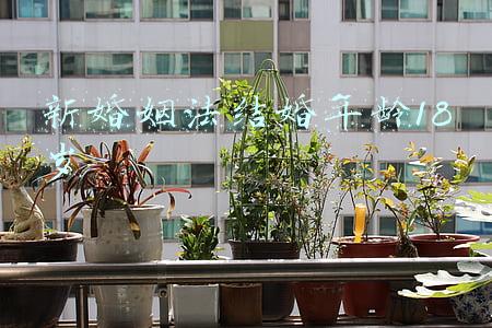 新婚姻法年龄规定18岁(纪检监察机关坚决纠治年龄造假 明确制度红线)