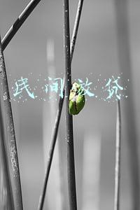 民间放贷