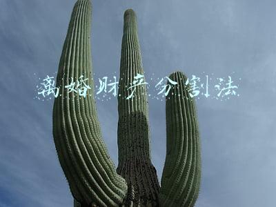 离婚财产分割法