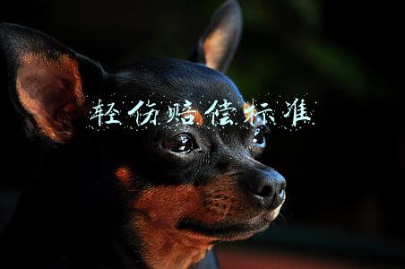 轻伤赔偿标准