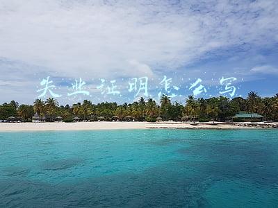 失业证明怎么写