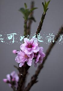 高铁票可以提前几天买