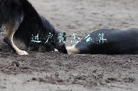 过户费怎么算