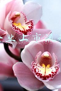 企业上市流程介绍(六大产品设计流程步骤-牧本设计)