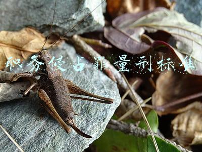 最新职务侵占罪量刑标准(职务侵占罪：量刑步骤与细则)