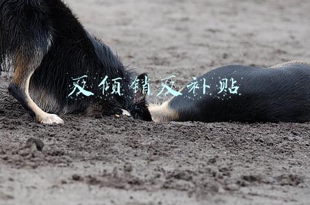 反倾销反补贴的条件(进口茶叶需要哪些单证？具体流程是什么？)