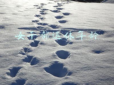 女干部退休年龄