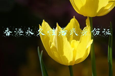 香港永久性居民身份证澳门居民身份证(香港永居身份和内地户口，能不能同时拥有？)