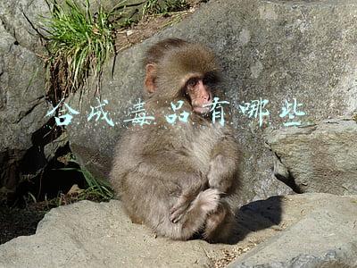 合成毒品有哪些种类(毒品有哪些种类?)