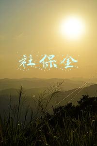 社保金