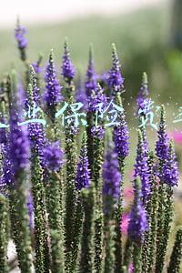 失业保险费率