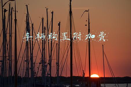 车辆购置附加费是否取消(免征收车辆购置税的公告终于来了)