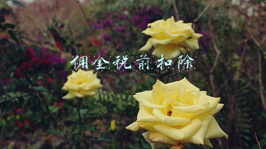 佣金税前扣除