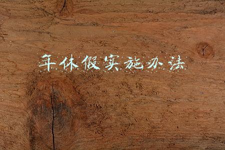 年休假实施办法