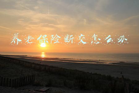 养老保险断交怎么办
