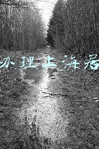 如何办理上海居住证