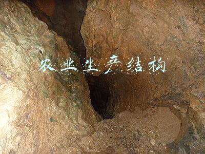 农业生产结构的调整主要应是(升级农机不负春)