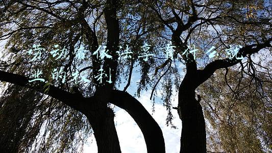 劳动者依法享有享有什么就业的权利(切实防止和纠正就业歧视)