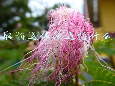 取消退休待遇指什么