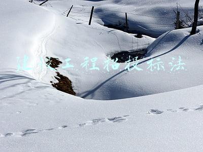 工程建设法规与招投标(二建《法规》高频考点9：建设工程必须招标的规模标准)