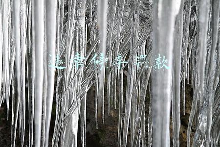 违章停车罚款在手机上怎么交款(贴条的违章停车能在12123上处理吗)