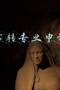 大学转专业申请书
