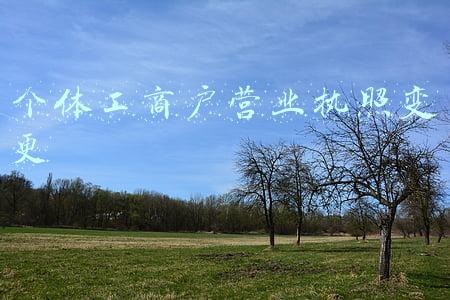 个体工商户营业执照变更