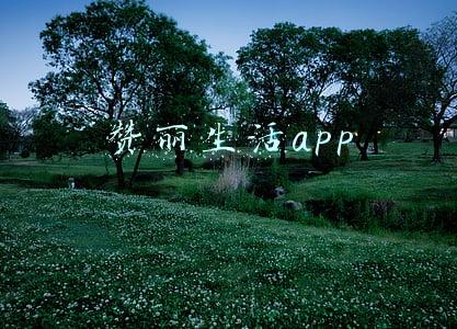 赞丽生活app