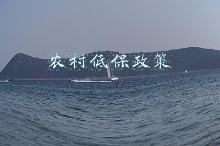 农村低保政策
