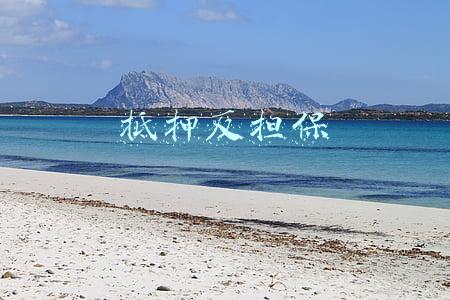 抵押反担保
