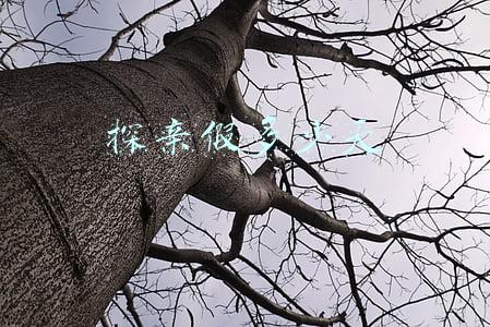 探亲假多少天