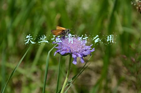 失业证有什么用