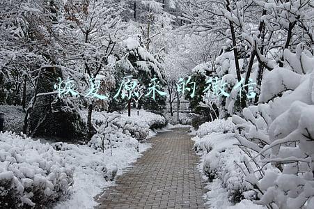 恢复原来的微信