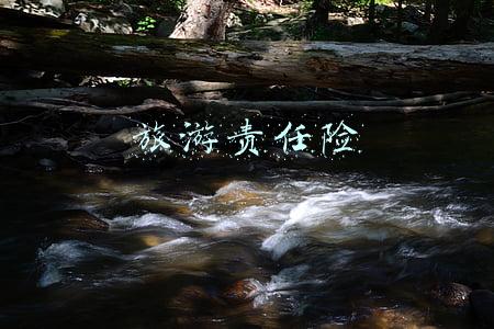 旅游责任险