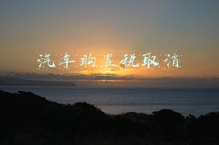 汽车购置税取消
