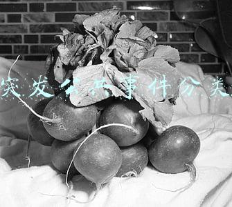 突发公共事件分类