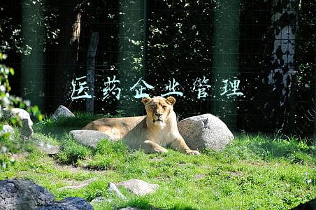 医药企业管理
